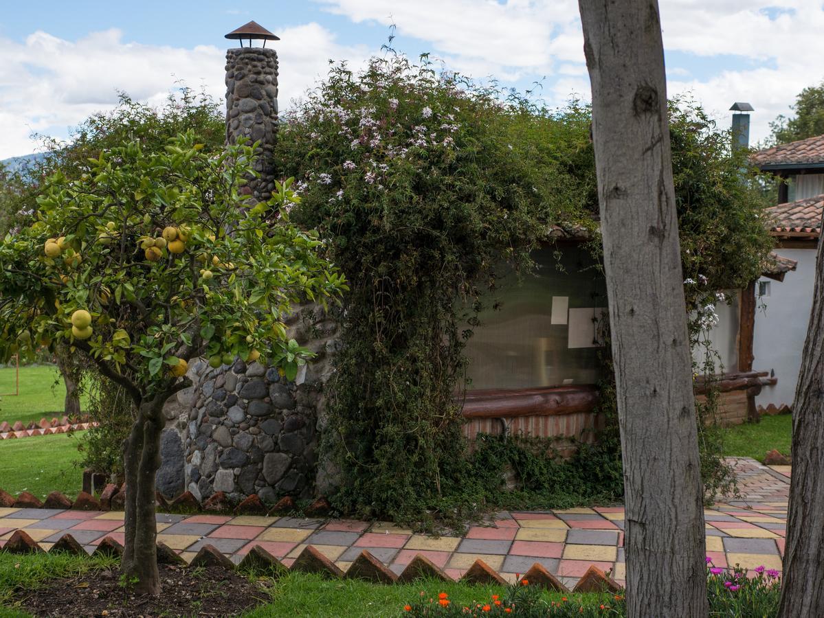 Zaysant Ecolodge Puembo Екстер'єр фото